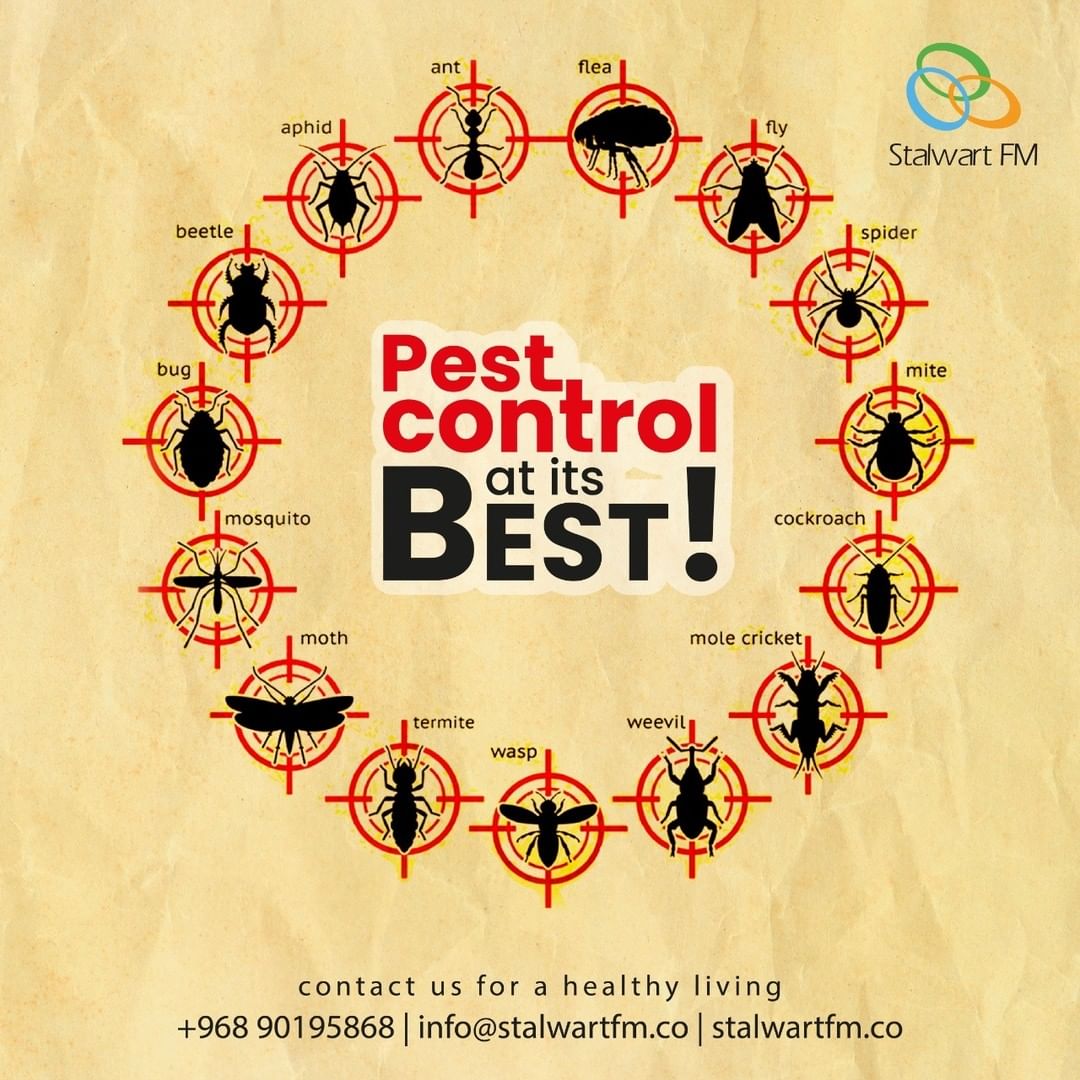 best pest control services