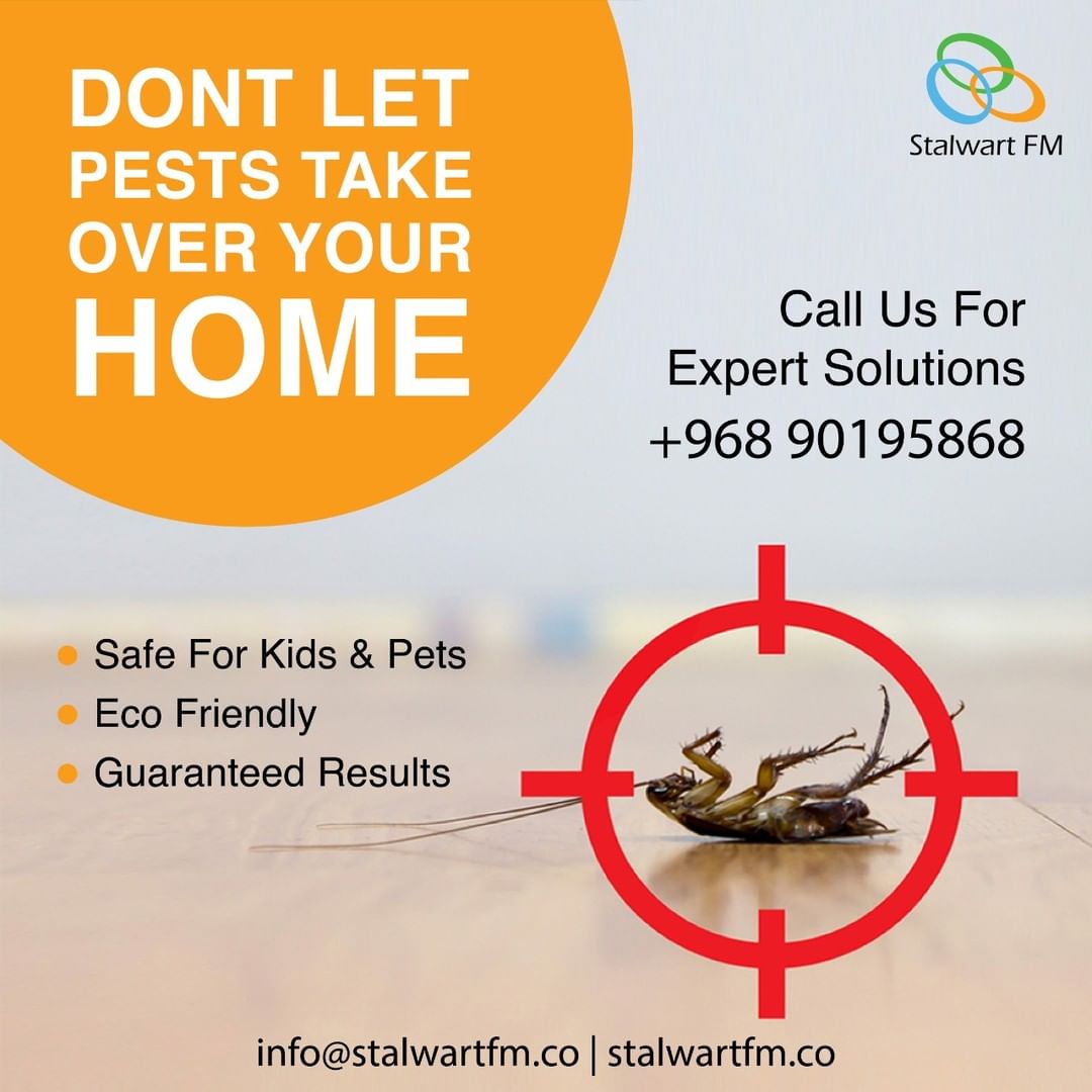 Best Pest Solution Muscat