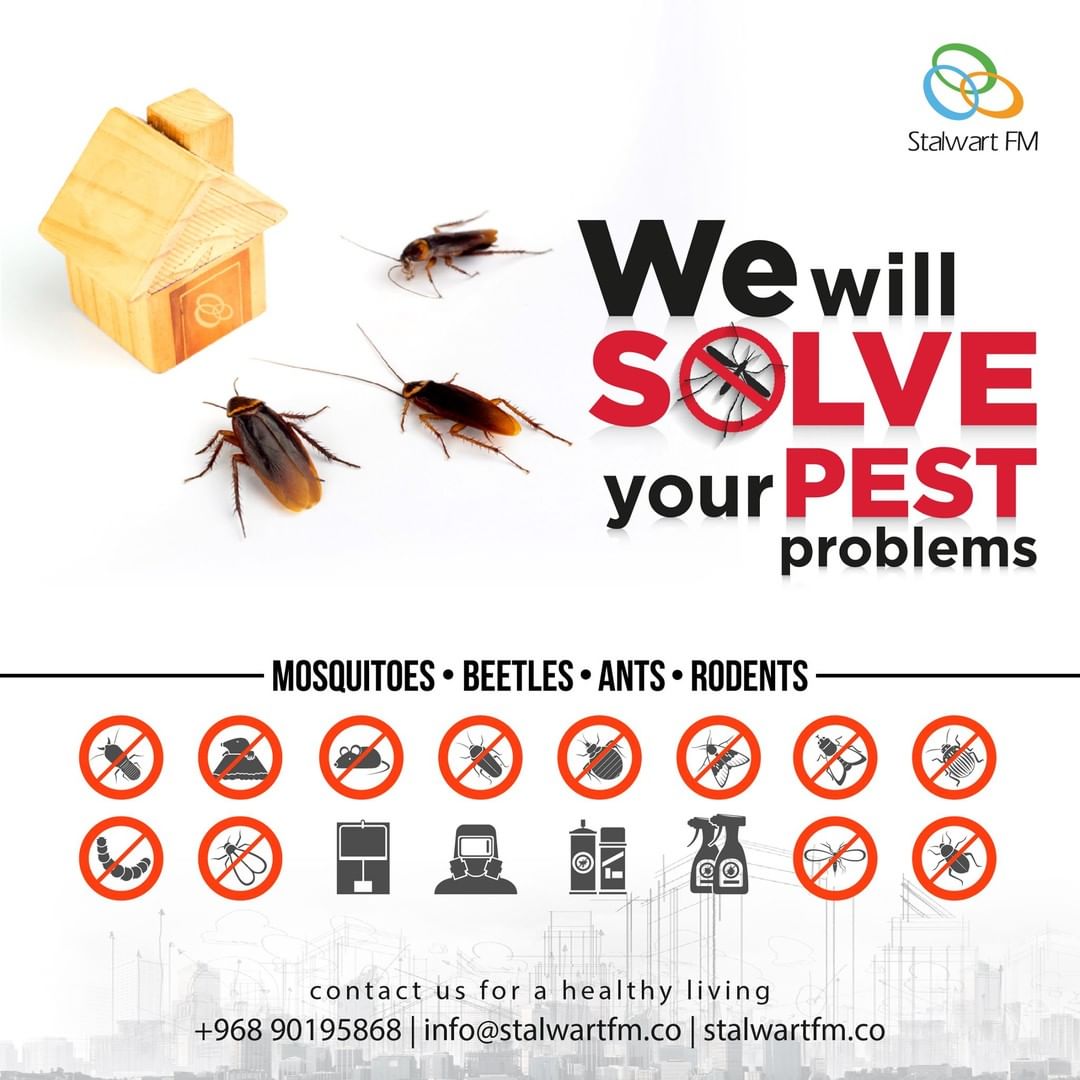 Pest control service Oman