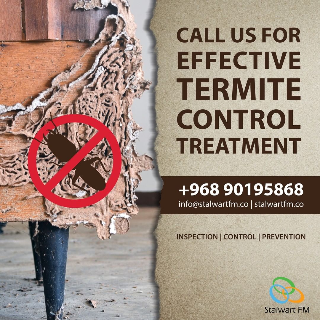 Termite Control