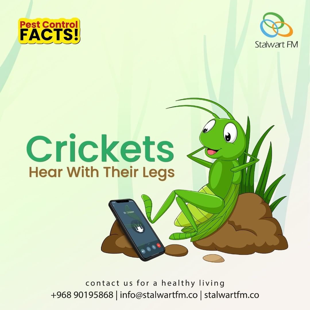 pest control facts