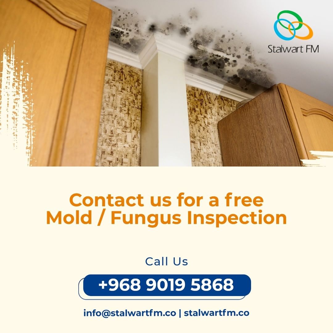 Free mold and fungus inspection