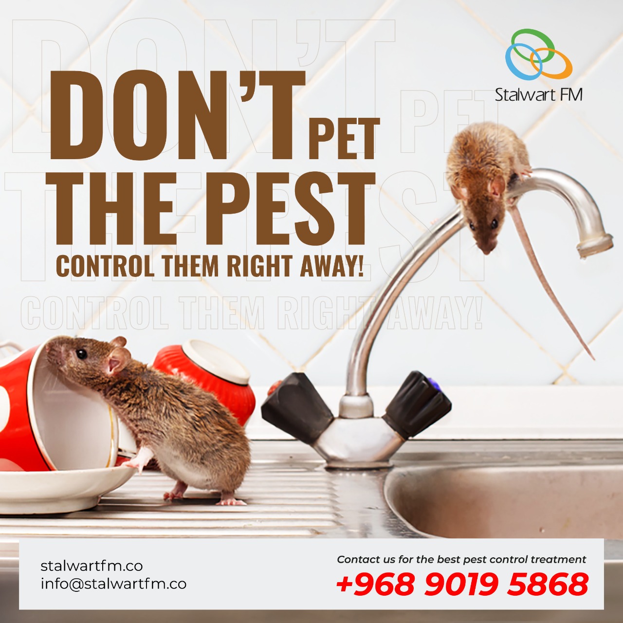 Best Pest Control Treatment