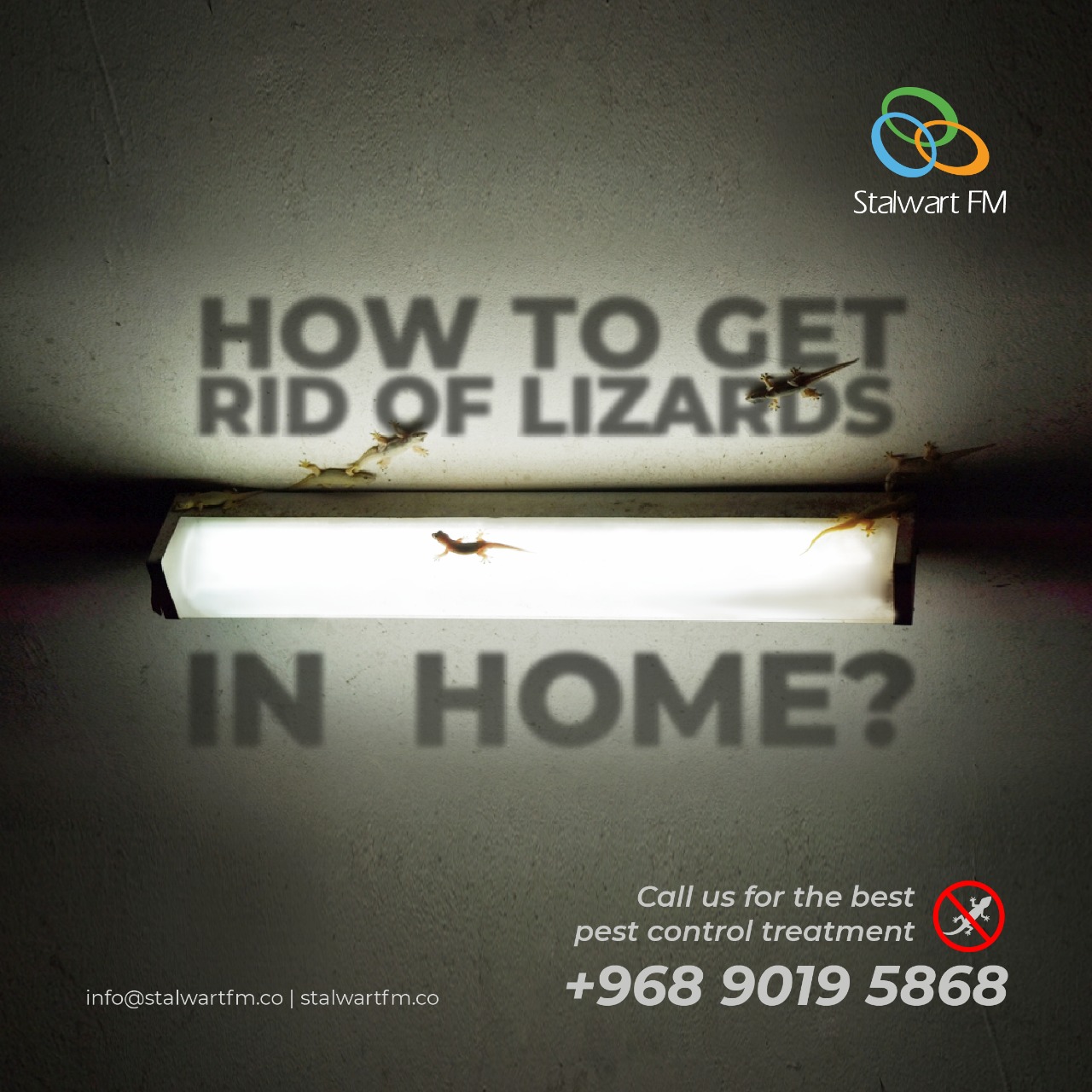 Pest Control Muscat