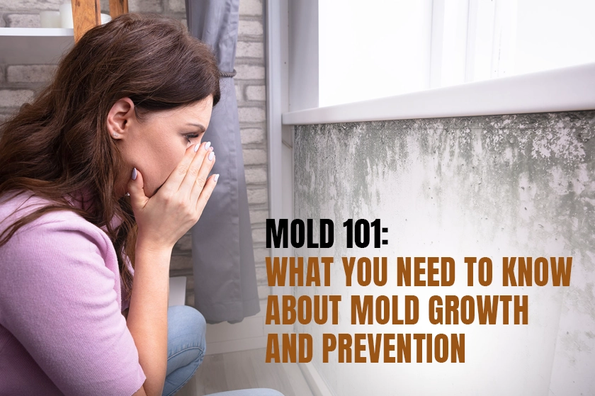 Poor Ventilation and Mold Growth