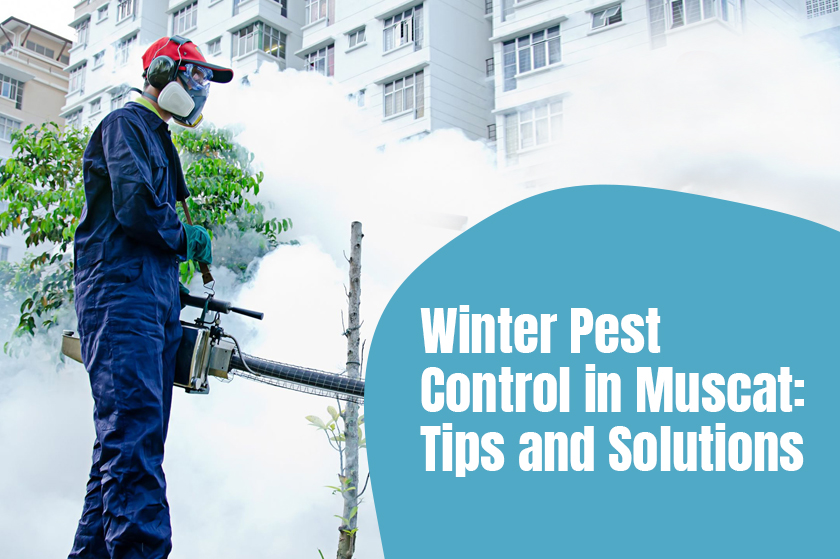 Winter Pest Control in Muscat